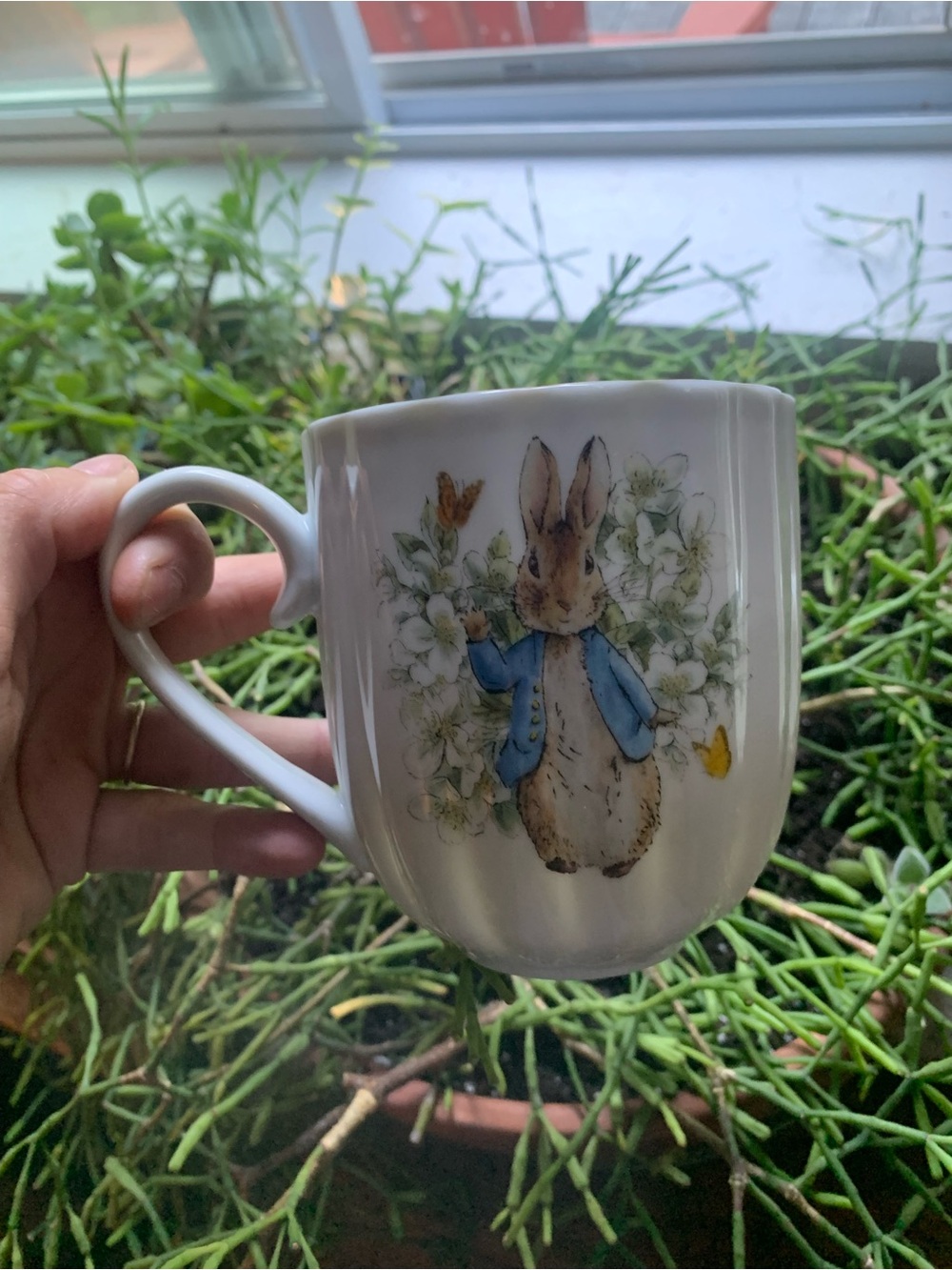 Beatrix potter peter rabbit mug